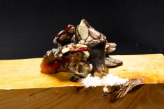 Percebe Pequeño (1Kg.)