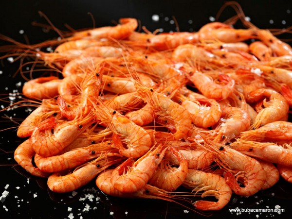 Camarón Cocido Extra Gold (90-120...