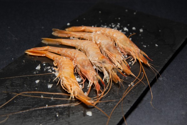 Gamba Blanca Mediana (80-89 UDS. por kg)