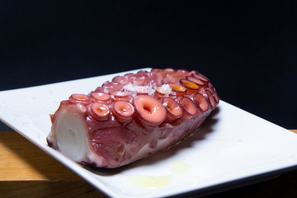 Octopus