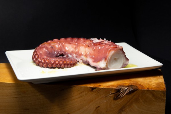 Octopus