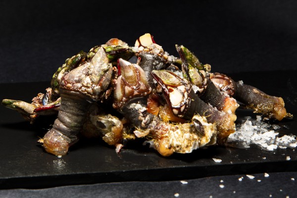 Barnacles small (500gr.)