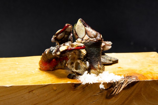 Barnacles Big (1Kg.)