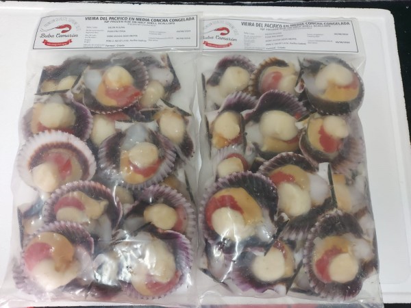 Vieira [BOLSA 1 KG]